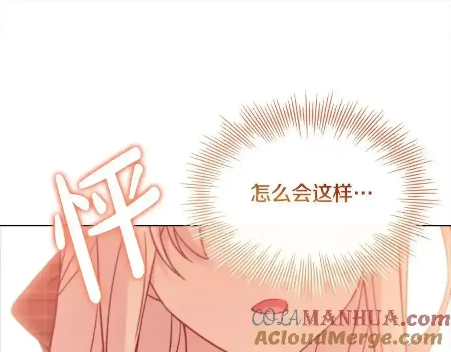 淑女想休息 第119话 他还活着？ 第161页