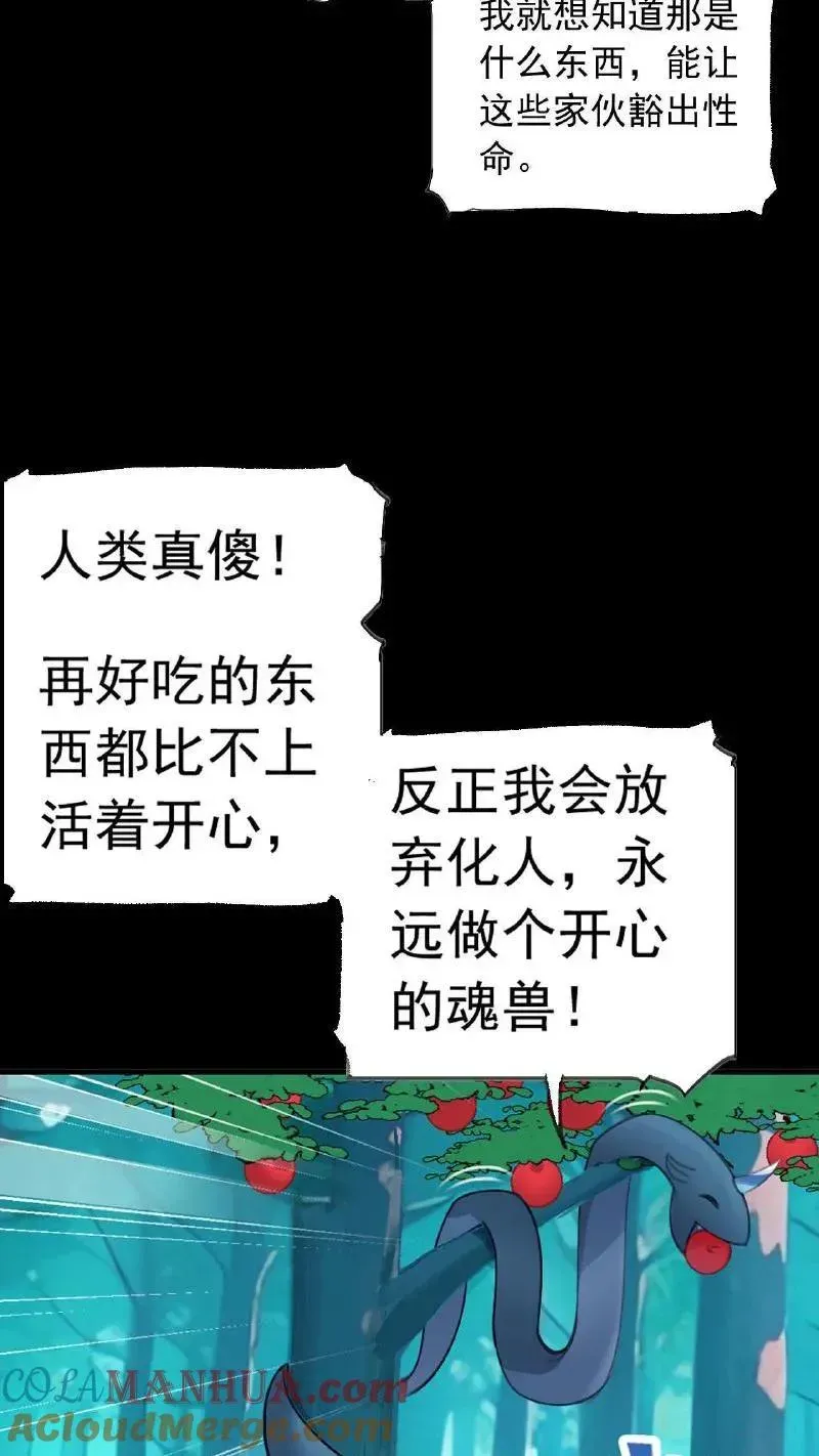 斗罗大陆 第335话：星斗大森林最后之战（上） 第10页