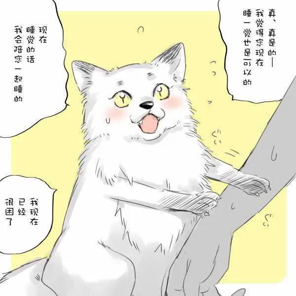 美女与猎人 第21话 第11页