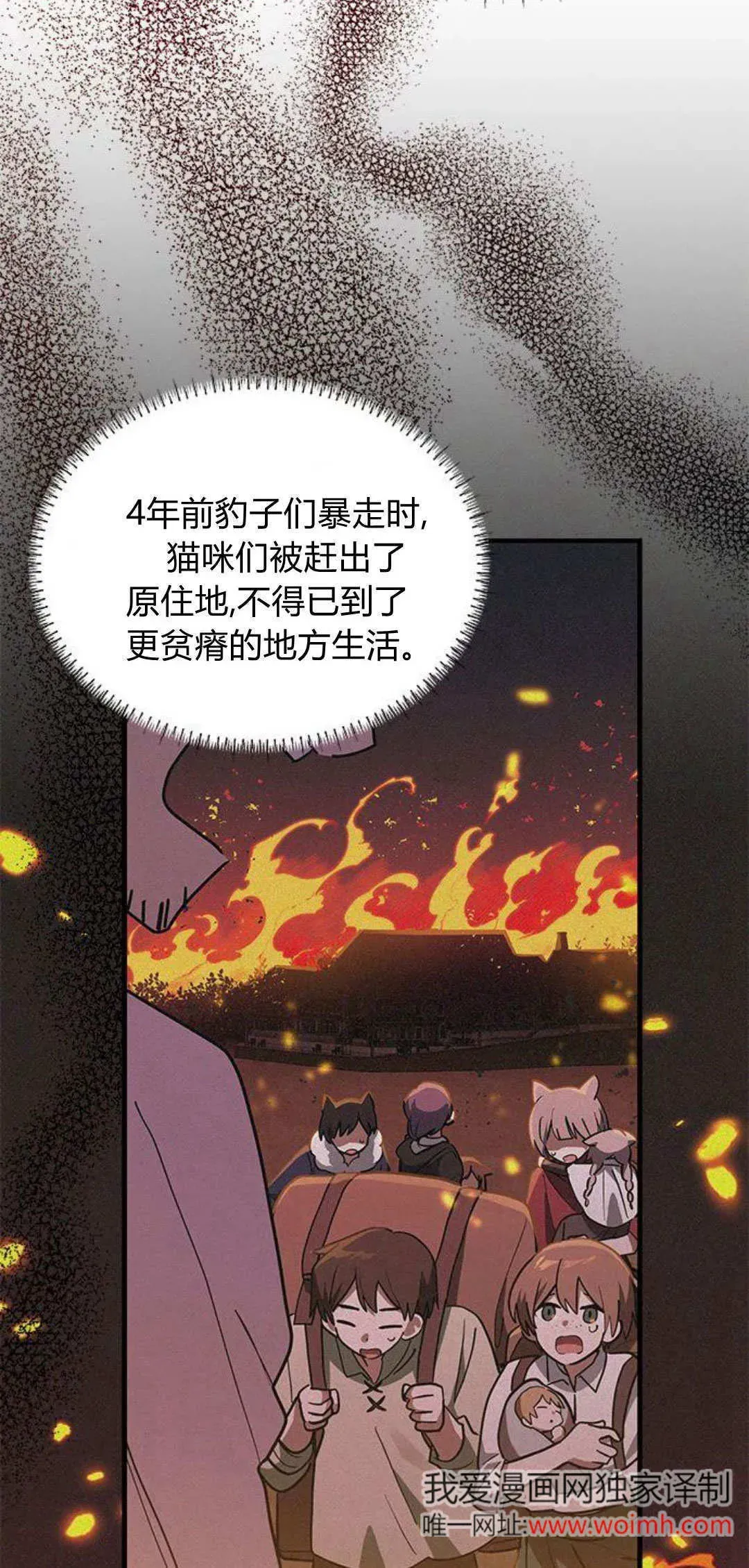 明明是猫，却被狼族收养了？ 第28话 第46页