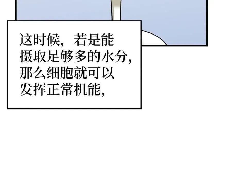 圣子是什么狗屁，这是现代医学的力量 第31话 国际象棋 第19页