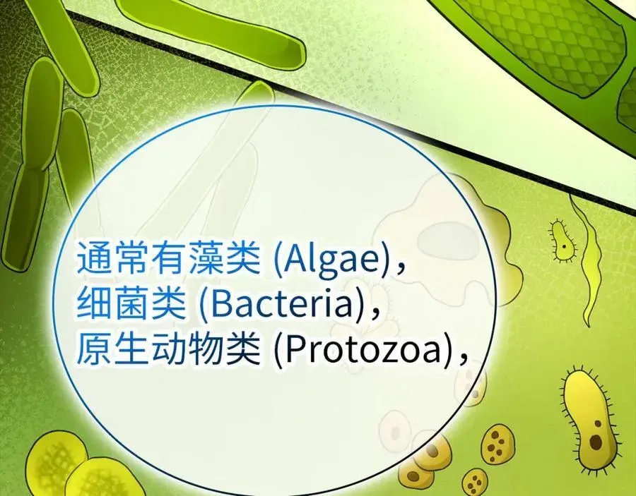 圣子是什么狗屁，这是现代医学的力量 第77话 招收医学生 第70页