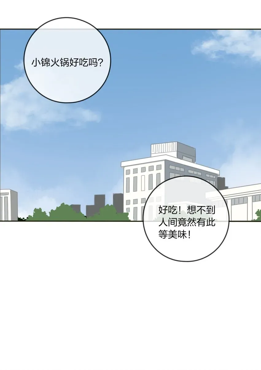 人间百里锦 008 令神迷惑 第11页