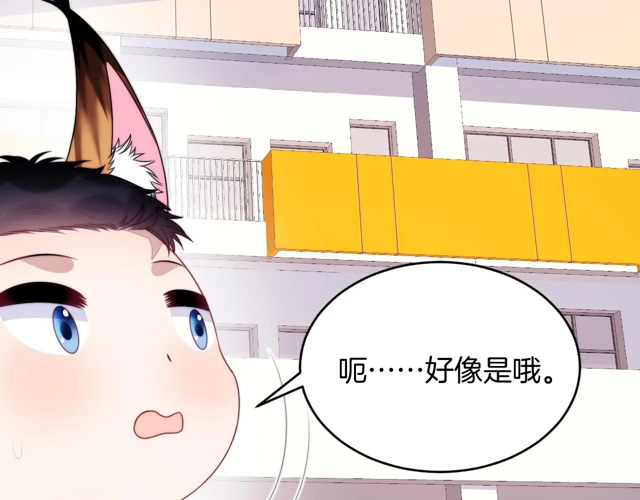 学霸的小野猫太撩人 第71话 别离开我的视线 第14页