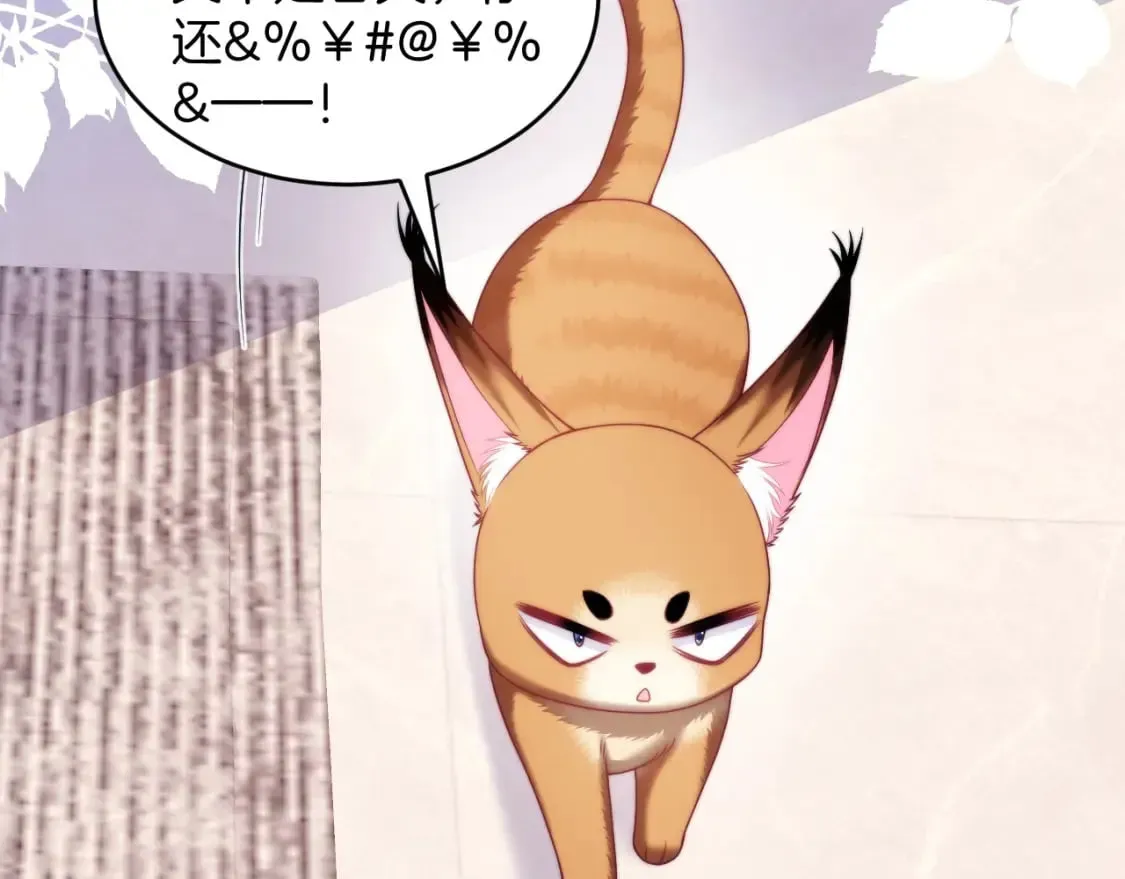 学霸的小野猫太撩人 第77话 贴贴猫猫 第60页