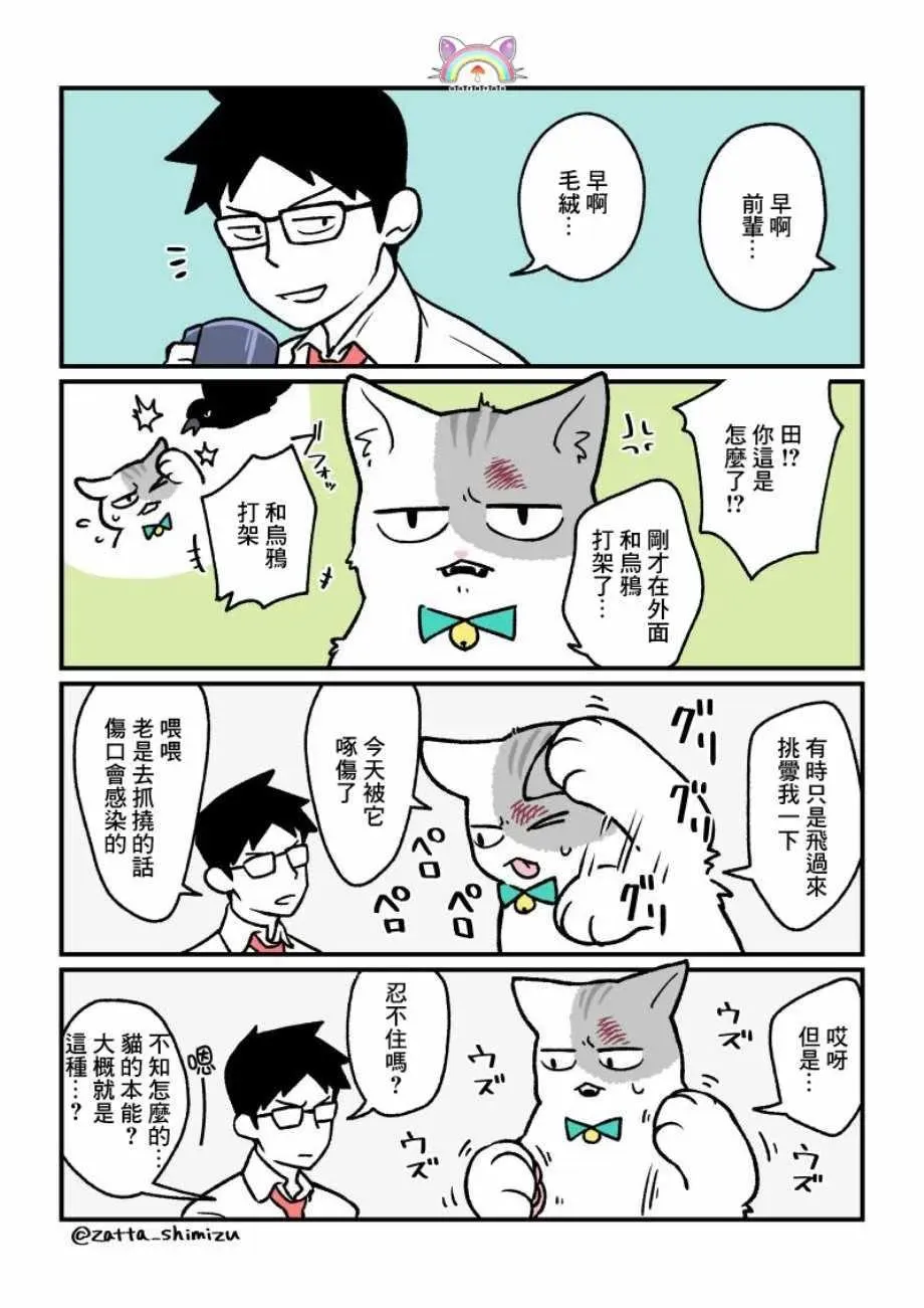 黑心企业的职员变成猫之后人生有了转变的故事 变成猫之后 番外15 第5页